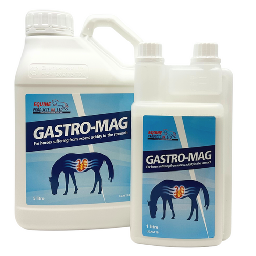 Gastro-mag
